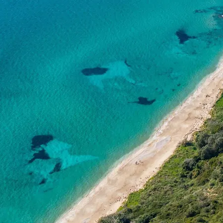 Makis Dream - Artemis