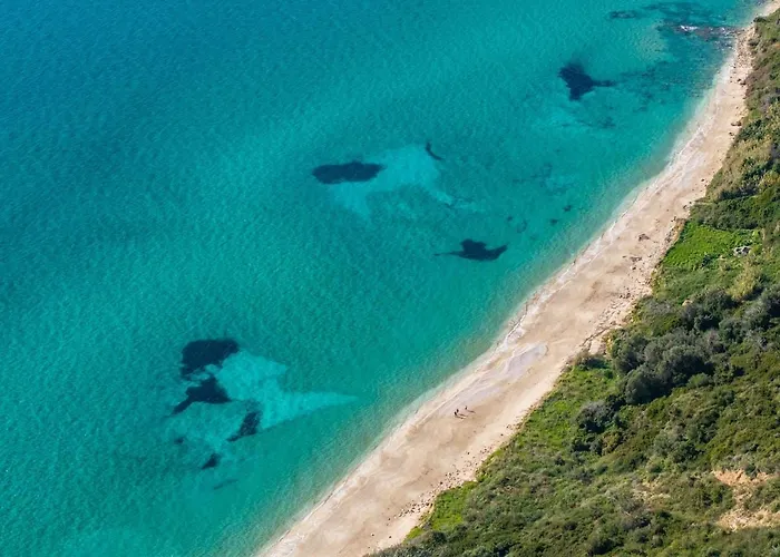 Makis Dream - Artemis